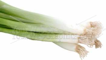 photo - spring-onions-jpg